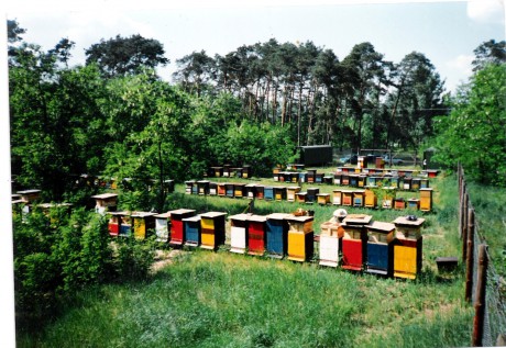 Prehliadky včelstiev1